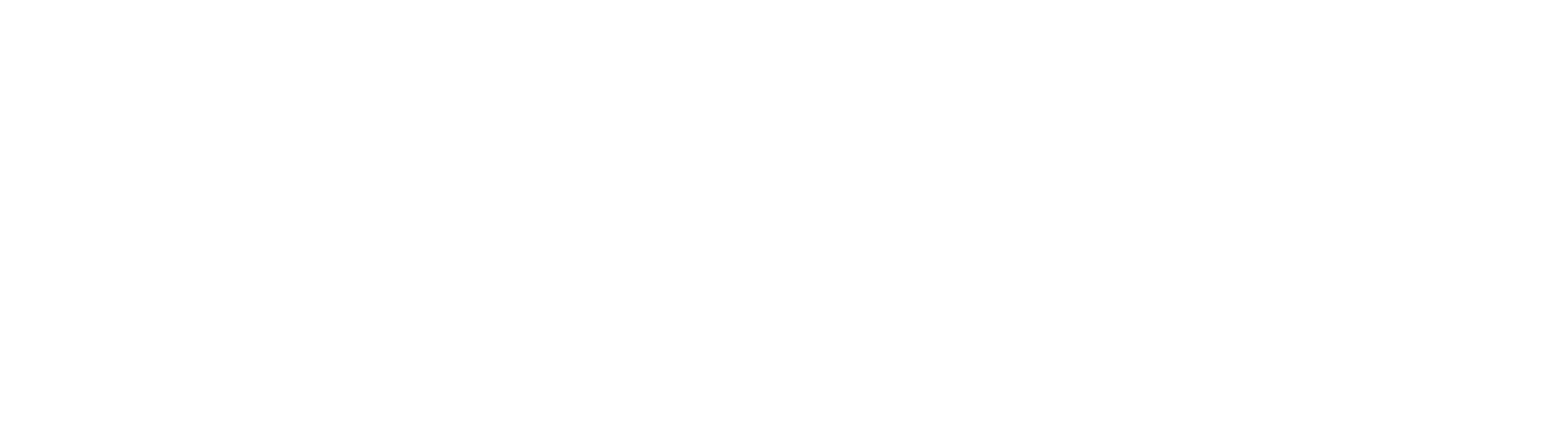 Raptor Circus Logo